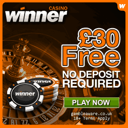 Winner Casino